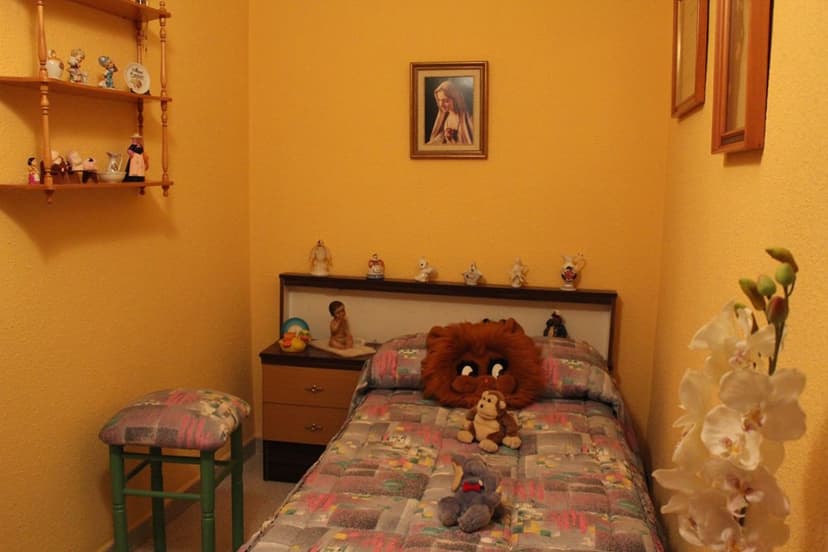 Imagen 8