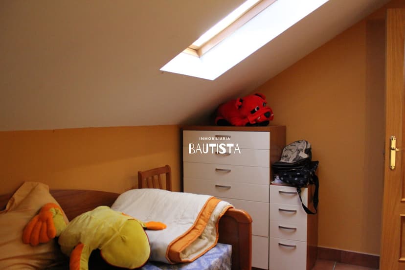 Imagen 22