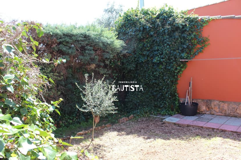 Imagen 48