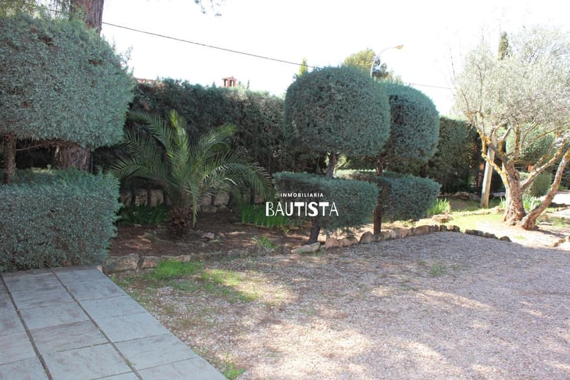 Imagen 85